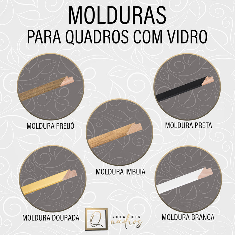 Quadro Decorativo - Tucano colorido